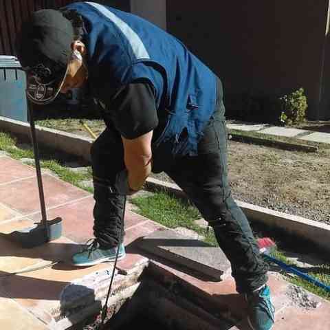Imagen 0